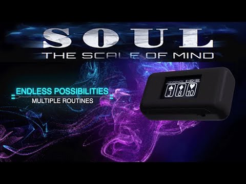 Voir la vidéo Soul - Wenzi