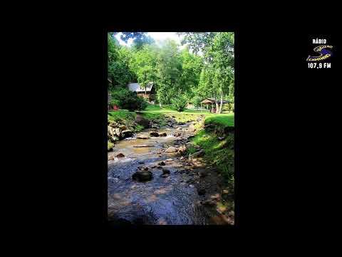 Programa: Caminho da Roça - 10/02/26 - Parte 1 - Apresentação: Paulinho