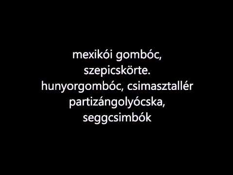 Betyárkörte Variációk Dalban