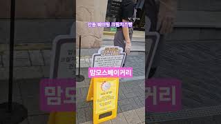 안동 웨이팅 장난아닌 크림치즈빵 빵집, 전국 3대빵집 📍경북 안동시 문화광장길 34 #맘모스베이커리 #맘모스제과 #크림치즈빵 #전국3대빵집 #안동빵집 #안동맘모스제과