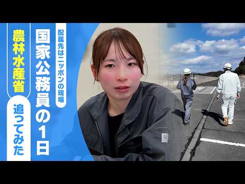 【国家公務員】若手職員の１日に密着　農林水産省編