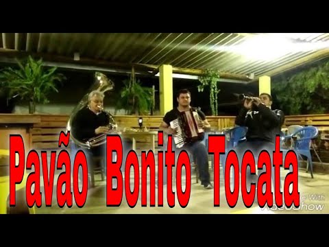 TOCATA  CCB -  #EgnaldoNovaes @TOCATASESTILOPRIMITIVO