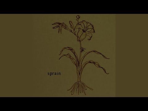 Anything - Sprain