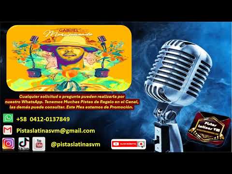 Gabriel Pagan feat Elvis Crespo Píntame (Pistas para Cantar)