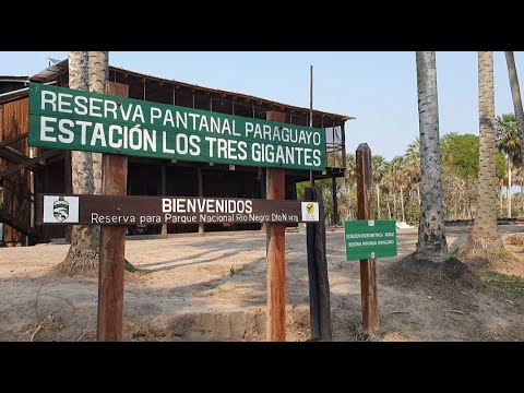 Campaña Bahía Negra Agosto 2024
