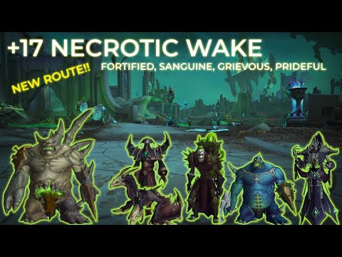 The Necrotic Wake | +17 Mythic Plus MDT Route & Commentary | Boomkin POV