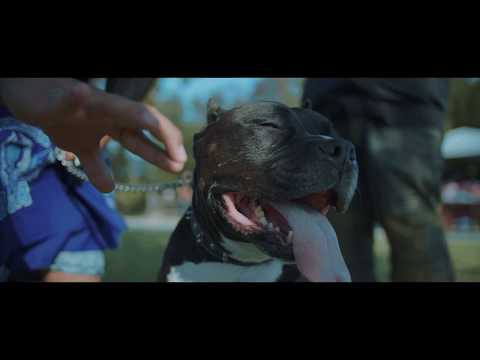 NOE BUENO x SLEEPLESS FT. YUNG CEE