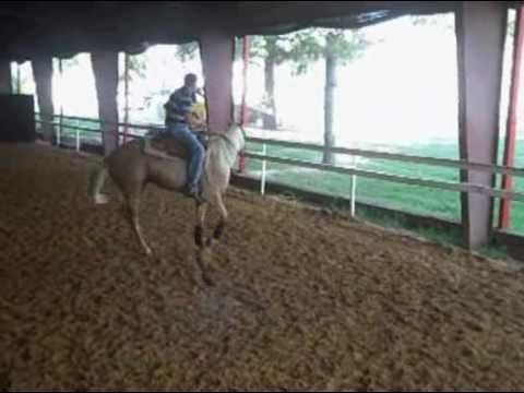 French Flit Tuff Gal