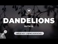 Dandelions Ruth B Male Key Piano Karaoke
