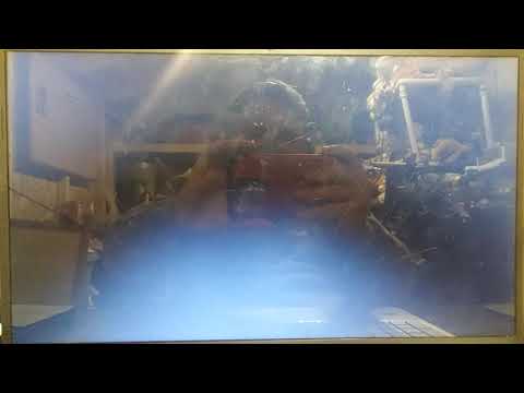 Mammal Story part 24 - End Credits (2010)