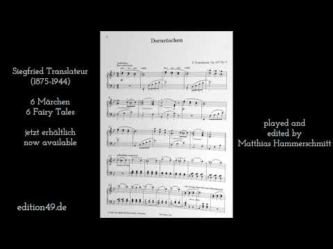 Siegfried Translateur 6 Märchen Fairy Tales Matthias Hammerschmitt piano Klavier
