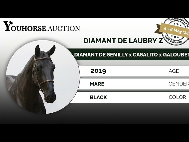 Diamant de Laubry trainingsvideo