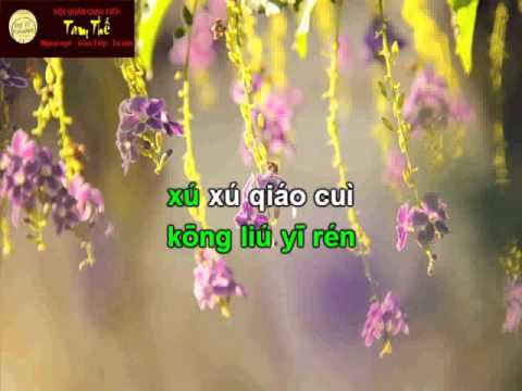 Vén rèm châu karaoke beat 卷珠帘伴奏