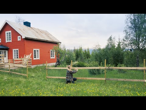 A Summer of Progress & Building our Dream | #03 Farm Diaries