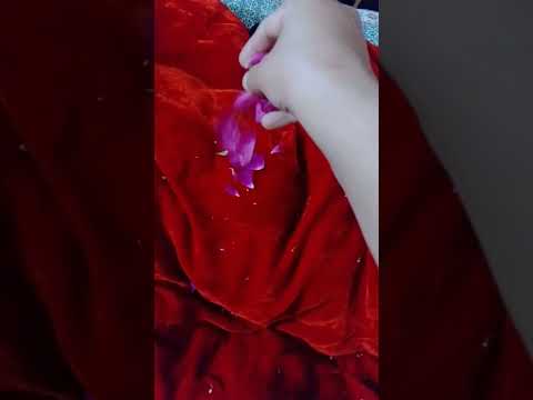 Rose day 🌹😂🤣