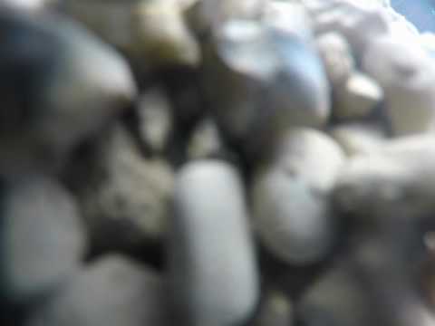 Brands Hatch GP Bemsee Powerbikes Race 1 Crash