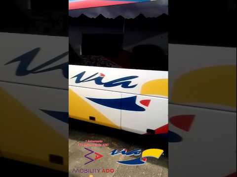 Saliendo de Acateno bien bañado por la lluvia ❤️💙💛🚍 #pesopluma #corridos #amor #autobuses #genesis