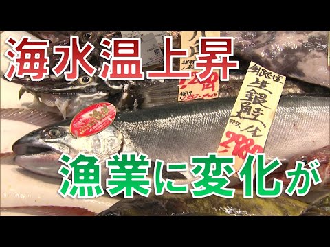 海水温の上昇により雨が多くなる