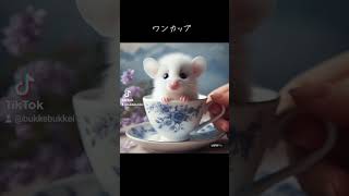 2024年3月2日
