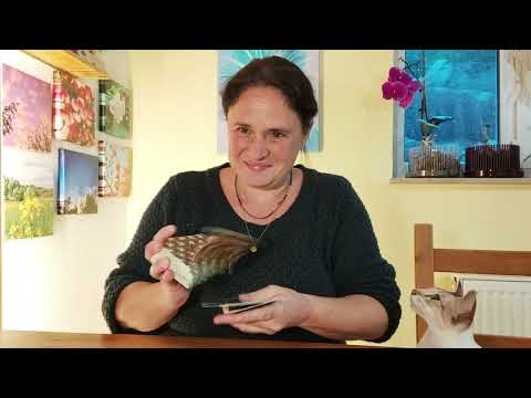 Weekly message November 9th – November 16th 🌟 After the fog comes clarity 🔮💫