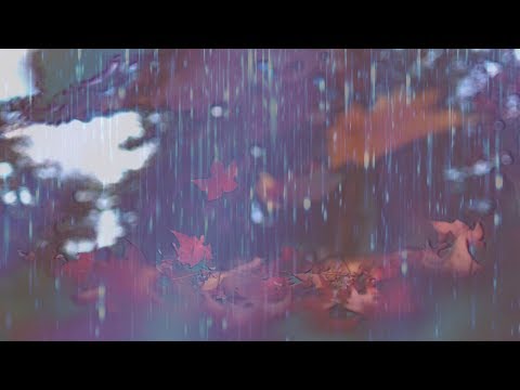 Dubsalon - Much More Than This