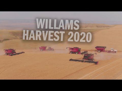 Williams Brothers Wheat Harvest 2020 - Aerial Reel