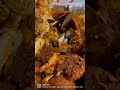 Mr And Mrs Crab Tampa North Dale Mabry