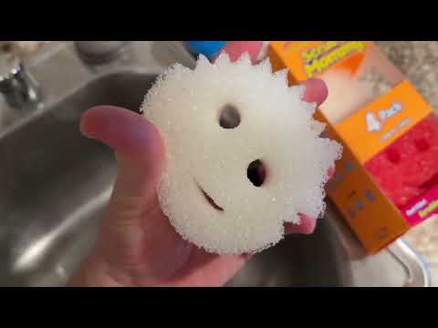 Scrub Daddy Scrub Mommy Sponges   Dish Scrubber + Non Scratch Cleaning Sponges Kitchen Review