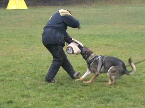 Jabina Guss - obrona4