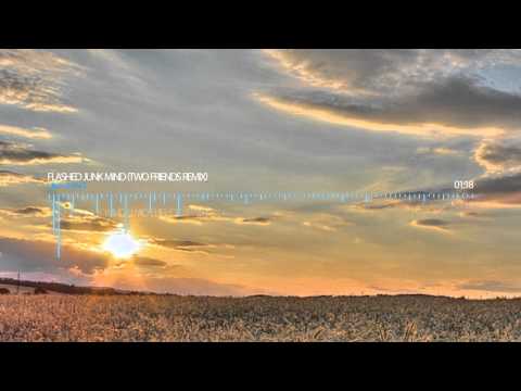 Milky Chance - Flashed Junk Mind (Two Friends Remix)