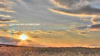 Milky Chance - Flashed Junk Mind (Two Friends Remix)