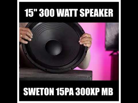 15" 300 Watt Mid-Bass Speaker Testing - 15 PA 300 XP MB