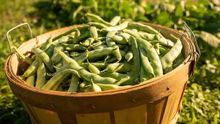Are Your Farm and Garden Goals Achievable?