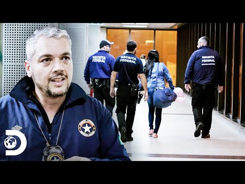 Dos pasajeros que casi escapan con contrabando | Aeropuerto de Sao Paulo | Discovery Latinoamérica