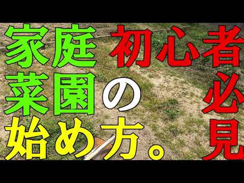 トリュフの栽培: 自宅の庭で行う方法 庭の練習