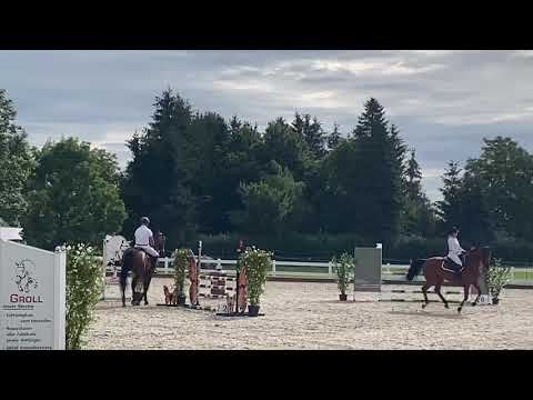 LORDIN (6yo Lord Pizarro) 08.20 Öpfingen - SPF A** WN8,8 1. Platz
