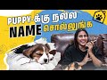 எங்க வீட்டு செல்ல குட்டி ️ Puppy க்கு என்�