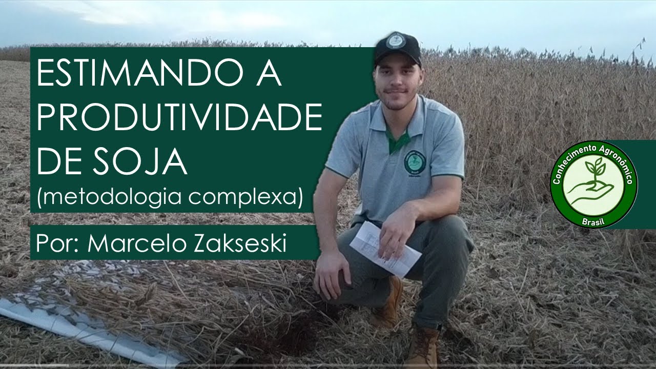 Estimando a produtividade da soja - metodologia CESB | Com: Marcelo Zakseski