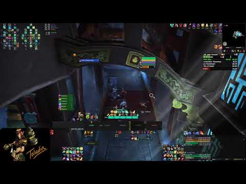 Temple of the Jade Serpent +25 (Preservation Evoker)