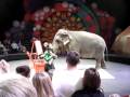 RINGLING CLOWNS 1