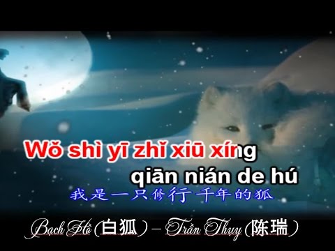 Hồ Ly Trắng (白狐) [Karaoke] – Trần Thụy (陈瑞)