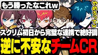 CRカップ顔合わせから「チームCR」すぎて不安が止まらないバニラたち【OW2/バニラ/切り抜き】