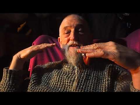 Peterson 301 Standard Smooth Bent Pot with SG Golden Glow / Medium Virginia Flake