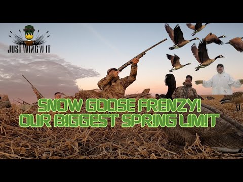 Spring Frenzy: Conquering the Snow Geese in Just Wing'n It - Episode 2