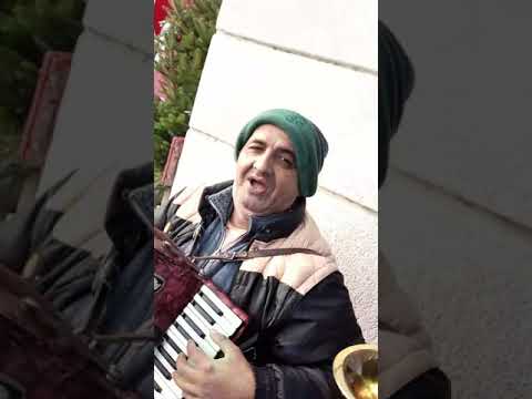 Pesme na sve jezika 😂💪💪