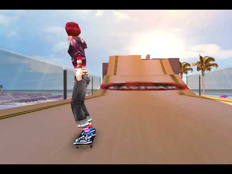 Skater Nation 2009-12-08 16:56:04