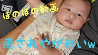【ほのぼの動画】男どうしの秘密はまだ早かったようですw