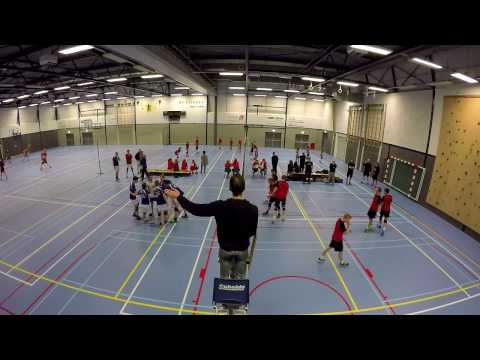 Punch H3 - Scarabee H1