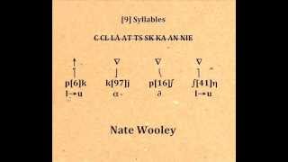 Nate Wooley - 9 Syllabes (excerpt)
