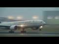Heathrow Airport Close Up Action Look Out For The Airport Fox